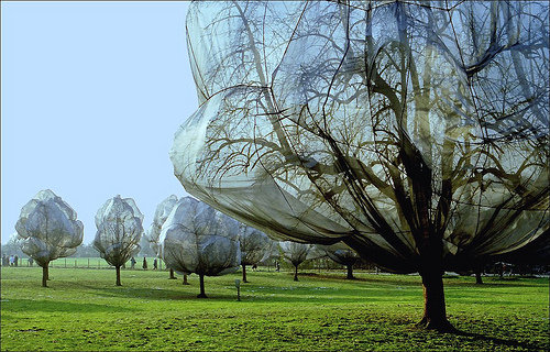 Christo