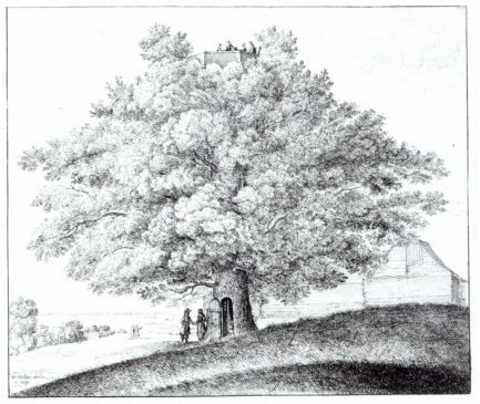 Wenceslaus Hollar